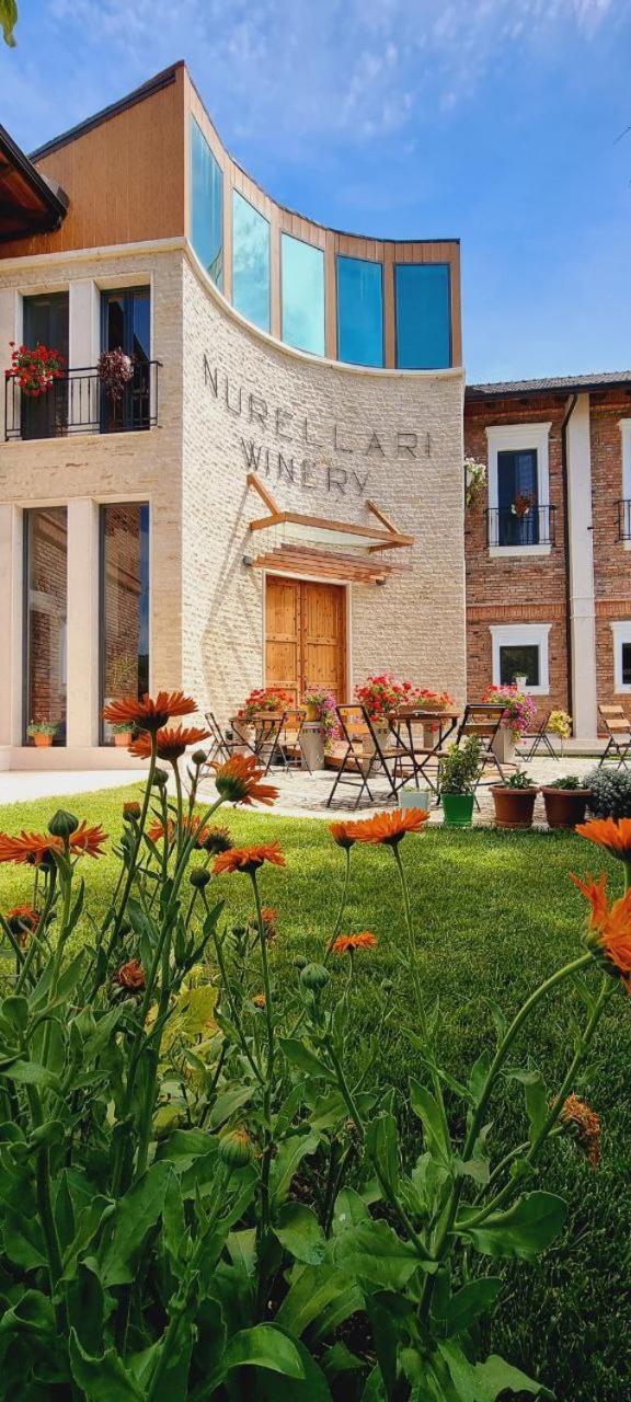Nurellari Winery Cellar And Guest House ベラト エクステリア 写真